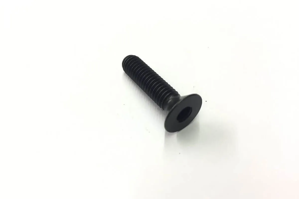 Campagnolo Bar End Expander Screw