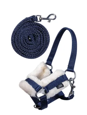 Hobby Horse Headcollar and Leadrope